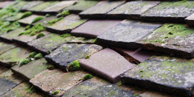 Coalway roof repair costs